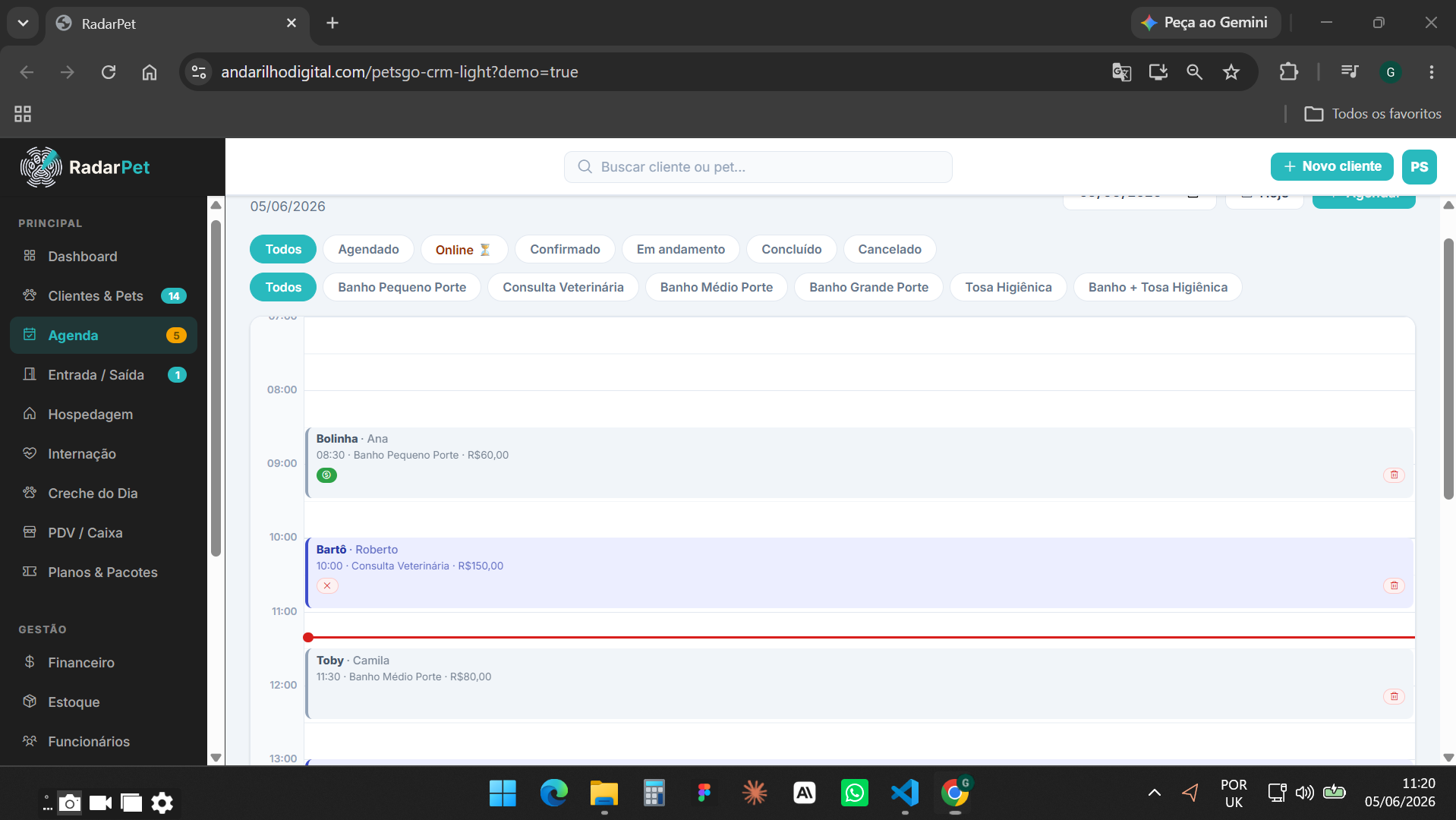 Agenda Visual do RadarPet — calendário com agendamentos por filial, status colorido e filtros por profissional